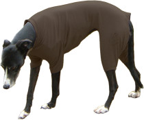 Dog T-Shirt Suit